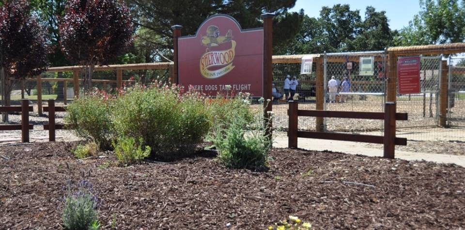 Sherwood Dog Park – Paso Robles, CA