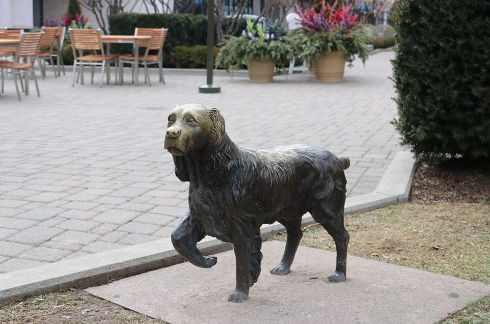 The Mall At Partridge Creek - Clinton Township Mi Pet Friendly Travel