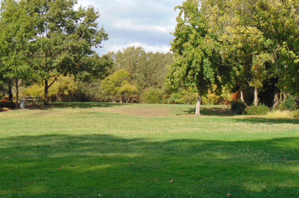 Napa Dog Parks – Napa, CA