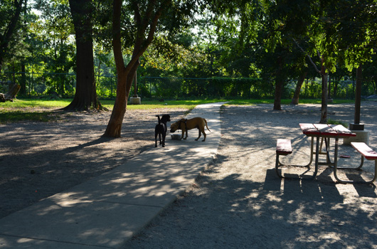 Arlington: Towers Dog Park