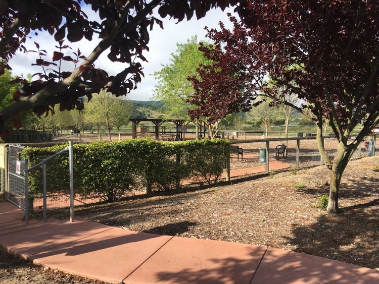 Vineyard Dog Park – Templeton, CA