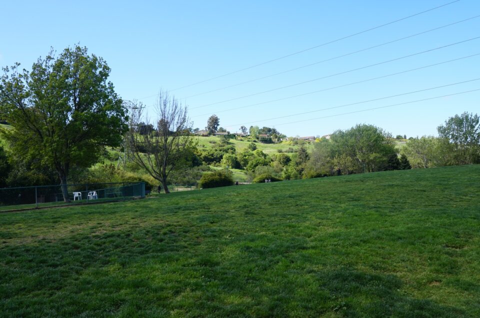 Wardlaw Dog Park – Vallejo, CA