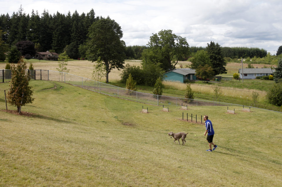 Beaverton: Winkelman Dog Park