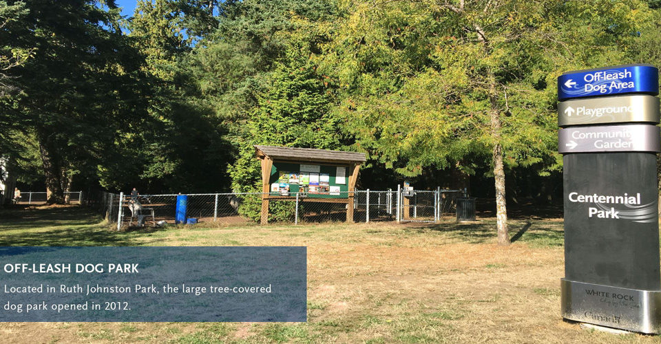White Rock: Off-Leash Park
