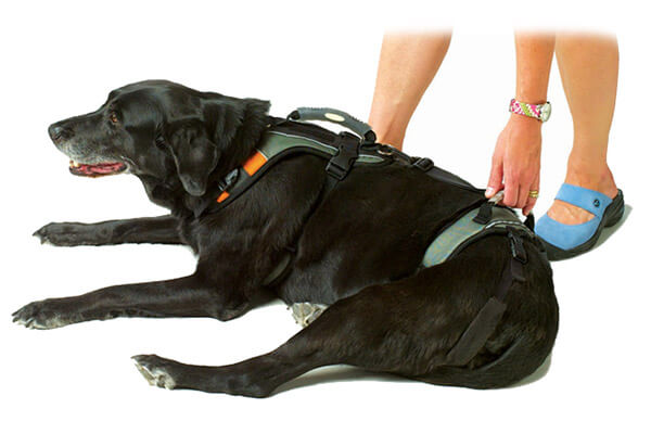 Help 'Em Up Harness - Dog Mobility Harness