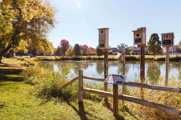 Boise: Ann Morrison Park