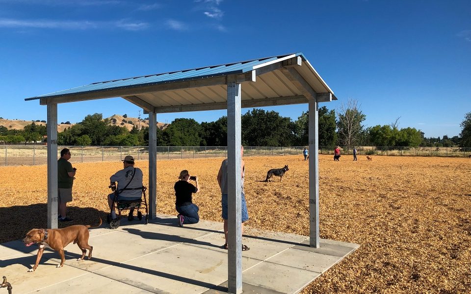 Centennial Dog Park – Vacaville, CA