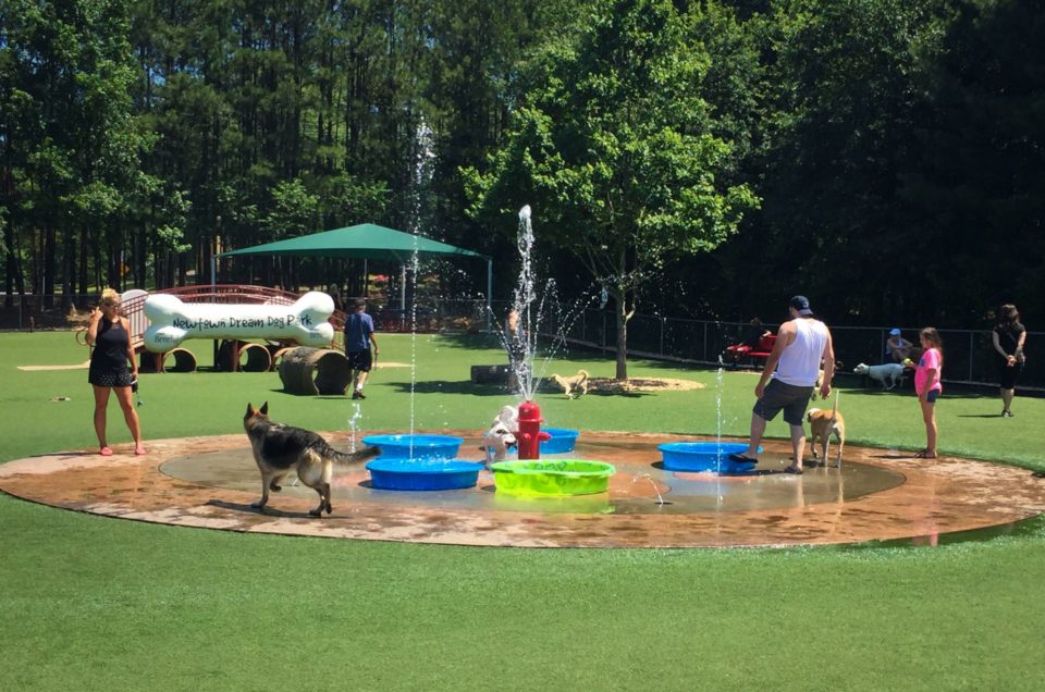Johns Creek: Newtown Dream Dog Park