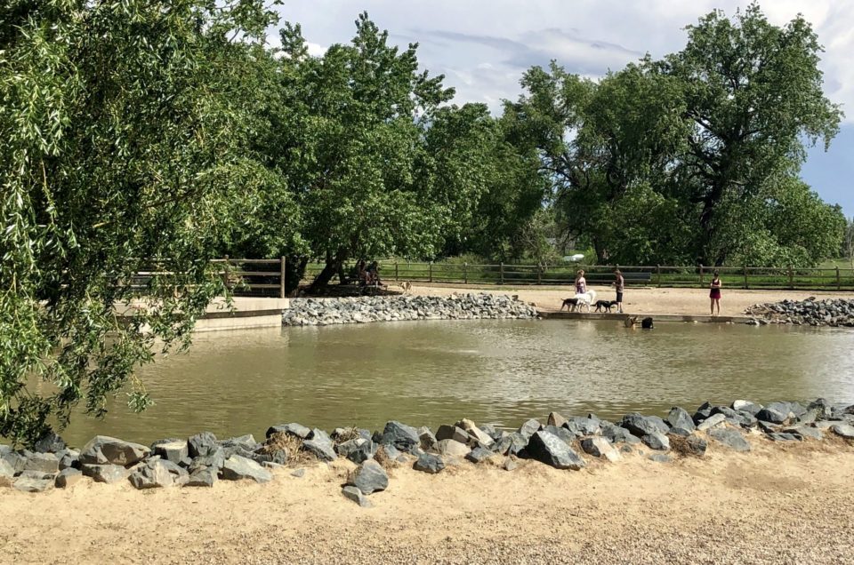 Fort Collins: Spring Canyon Dog Park