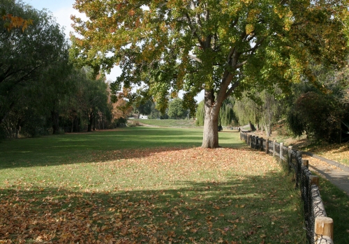 Tabano Hollow Dog Park – Santa Barbara, CA