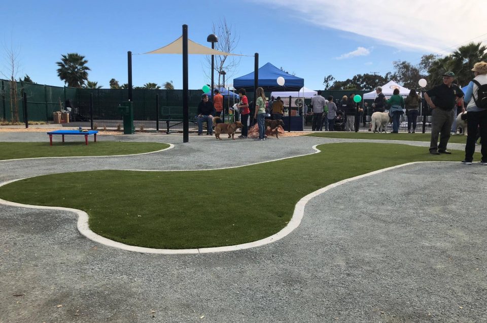 Signal Hill Dog Park