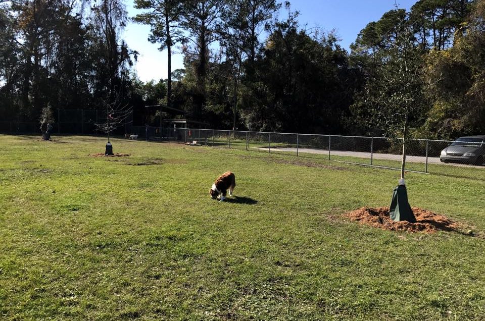 Glynn County Dog Parks