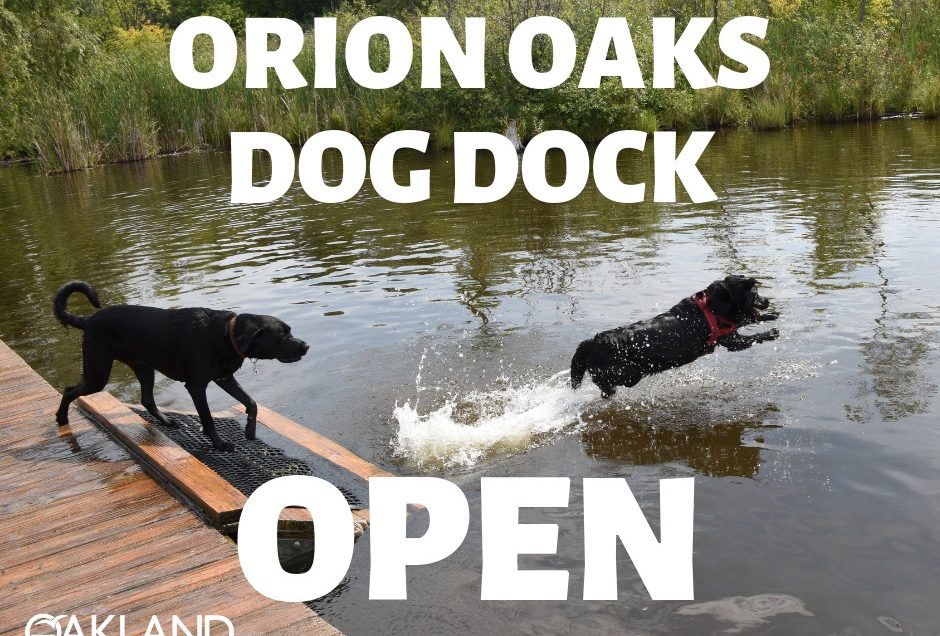 Lake Orion Orion Oaks Dog Park Pet Friendly Travel
