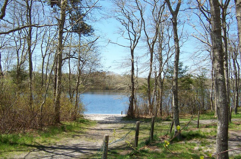Cheryl Malone Fresh Pond Dog Park – South Dennis, MA