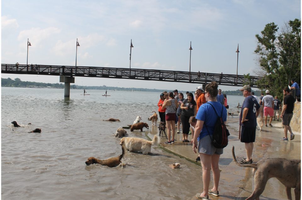 White Rock Lake Dog Park – Dallas, TX