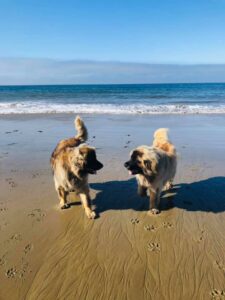 Hendry's Beach, Santa Barbara, CA
