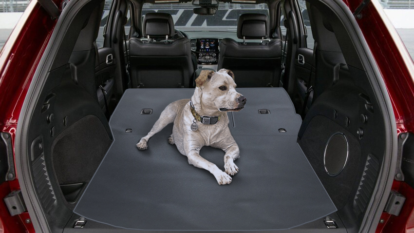 SUV Cargo and Trunk Liners For Dogs