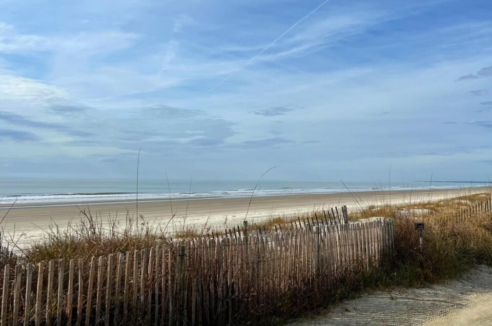 Kiawah Island Beach South Carolina Pet Friendly Travel