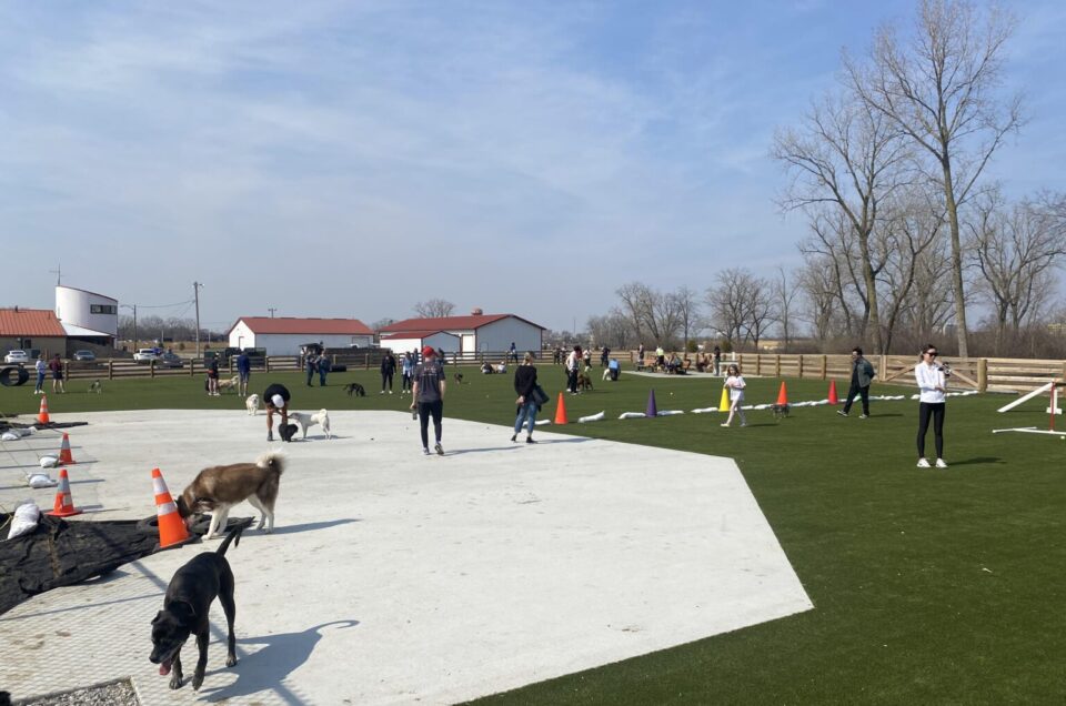Scioto Audubon Dog Park – Columbus, OH