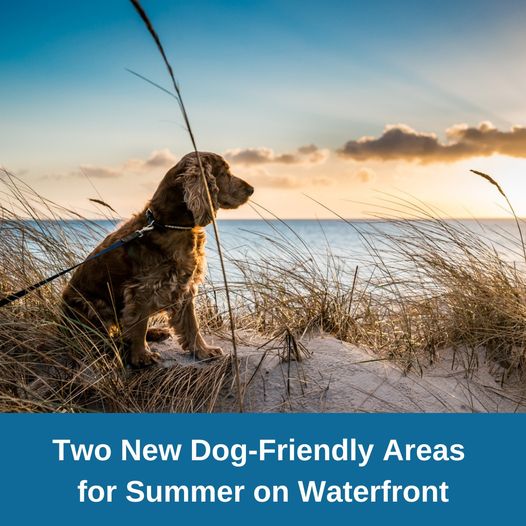 Saugeen Shores Beaches – Ontario