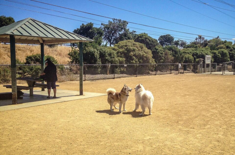 Shoreline Dog Park – Mountain View, CA