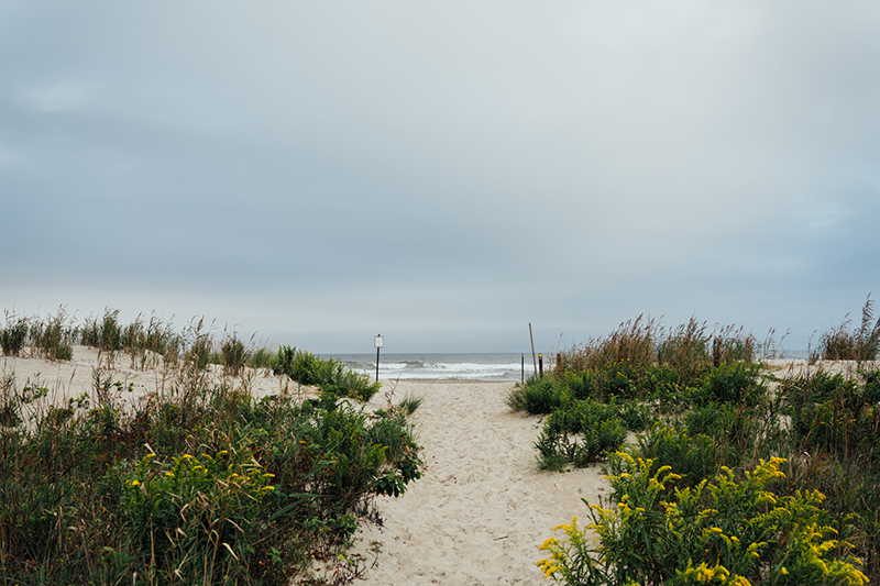 Corson's Inlet State Park Beach Ocean City, NJ Pet Friendly Travel