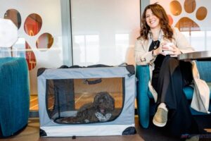 Stena Line Belfast to Cairnryan route