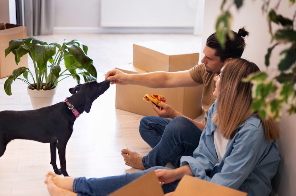 Relocating With Your Furry Friend: Tips and Tricks for a Smooth Transition