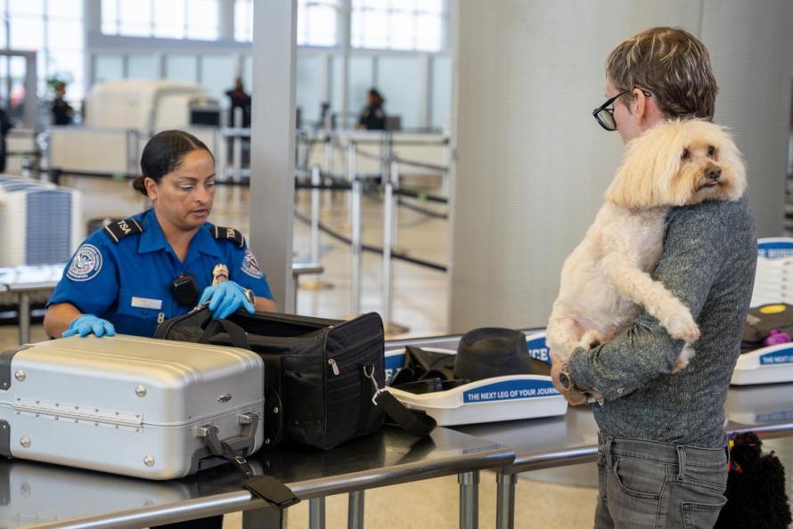 Tips for Traveling Through a Security Checkpoint with Your Pet – TSA