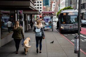 Two women walking a dog in San Francisco.