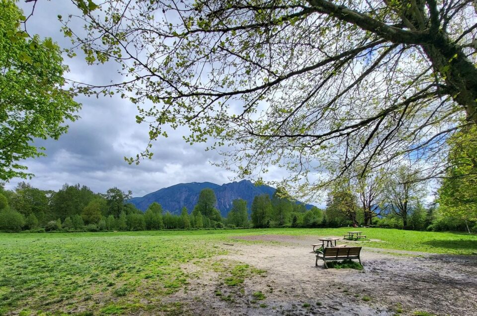 Three Forks Off-Leash Dog Park – Snoqualmie, WA