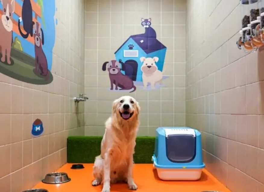 Airports Outside the US with Pet Relief Areas Make Pet Travel Easier