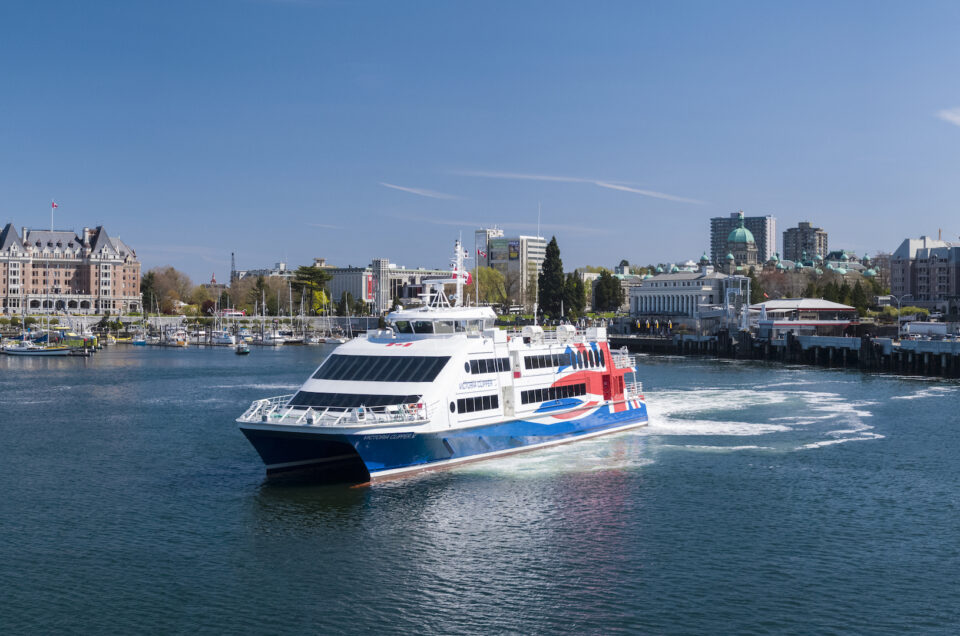 Victoria Clipper Ferry Pet Policy